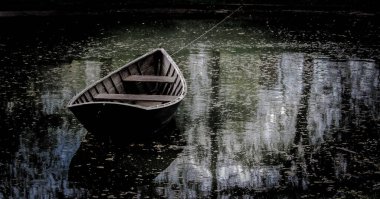 Kiraz mevsimi. Olgun kirazlar. Kiraz. Yüksek kalite fotoğraf