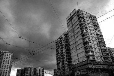 Kiraz mevsimi. Olgun kirazlar. Kiraz. Yüksek kalite fotoğraf