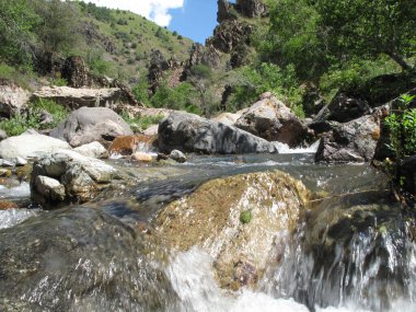 Dağ nehri görünür taşların yanında akıyor.