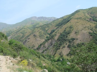 Dağ yolu yeşil tepelerin arasından geçiyor               