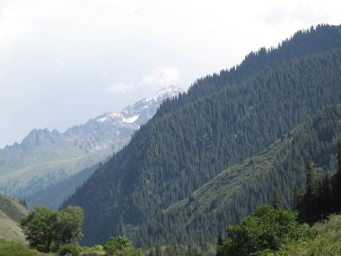 Bir kuşun gözünden iki dağ zirvesi. Biri karda, diğeri ağaçlarda.        