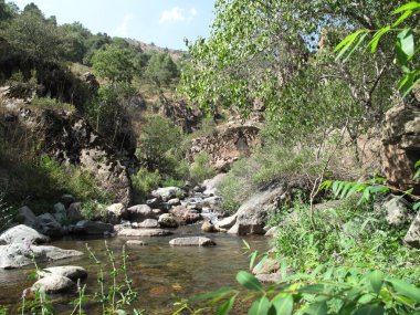           Dağlardaki manzara bir dağ nehrinin arka planına karşı.