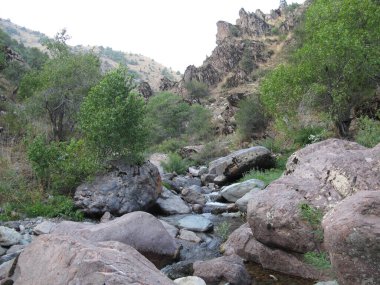                     Dağlarda bulutlu bir günde adımlar gibi dağ nehri.           