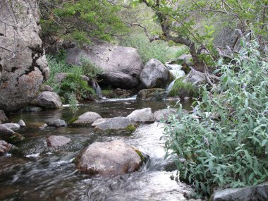 Dağ sakin nehir deresi ve çimen gibi kokuyor.                    