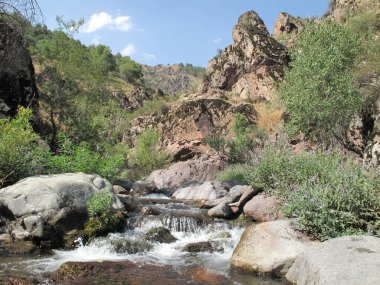                                Yazları nehirdeki dağlarda