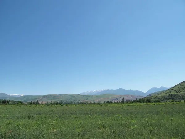                      Dağların yakınındaki tarla          