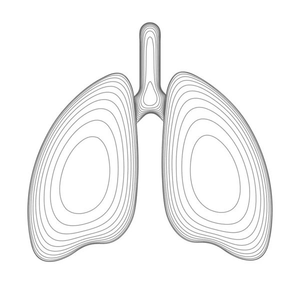 Pulmones Humanos Alineados Con Alambre Vista Frontal Con Tráquea Ilustración — Vector de stock