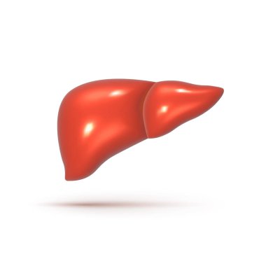 Üç boyutlu insan karaciğeri. Beyaz arka planda gerçekçi insan organı. Vektör illüstrasyonu.
