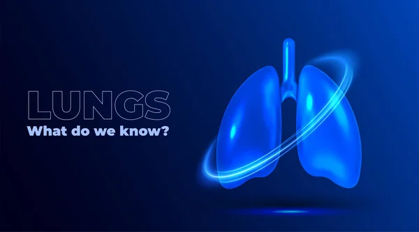 Anatomia Dos Pulmões Humanos Modelo Pulmão Humano Sistema Respiratório Saúde — Fotografia de Stock