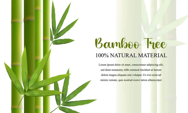 Fond Bambou Avec Place Pour Texte Bâtons Bambou Vert Avec — Image vectorielle
