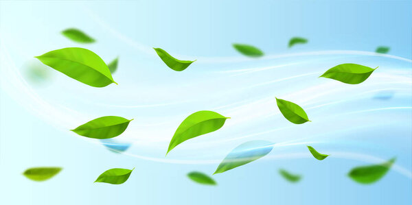 Flying green leaves in the air waves. Fresh aroma. Clean airy environment