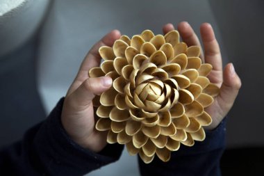 Child holds a handmade flower. Dahlia made of pistachio shells. Waste recycle and creativity concept. Handicraft with children at home. Tender and love. Self made presents. Nut peel reuse. Design