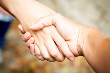 Dışarıda tokalaşan iki kadın. Takım çalışması ve anlaşma konsepti. Kadın dayanışması ve desteği. Kafkas palmiyesi. Kuvvet ve işbirliği. Geçmişi bulanık parmaklar. İş yap