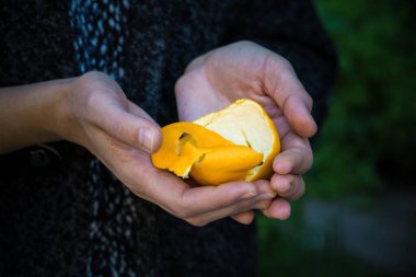Kadın, kabuğu soyulmuş portakal tadını elinde tutuyor. Renkli yakın plan fotoğraf. Dilenen yiyeceklerin jesti. açlık konseptinden muzdarip. 