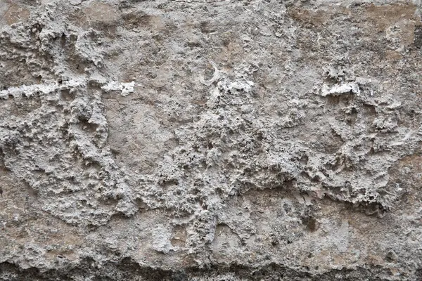 Bu, yüzeyine saçılmış delikler içeren bir kaya dokusunu gösteren detaylı bir yakın çekim görüntüsü.