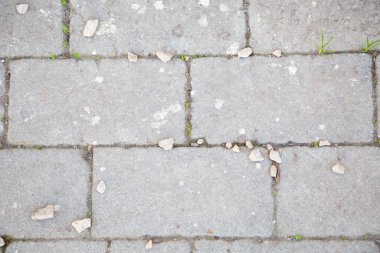 Bu, çatlaklardan süzülen parlak yeşil çimenli belirgin desenli bir tuğla geçidi gösteren detaylı bir görüntü.