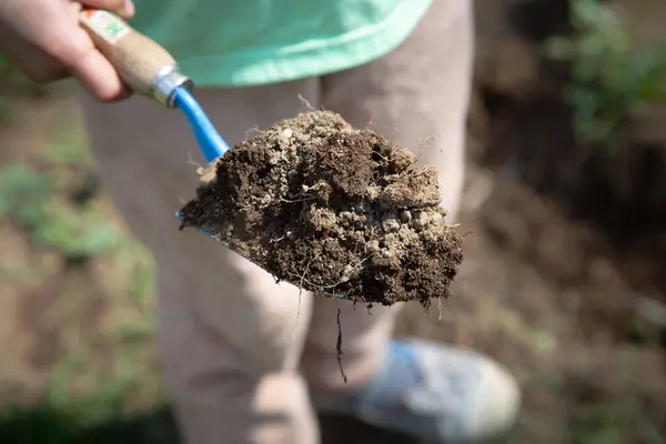 Bir insan, içi toprakla dolu bir küreği sıkıca tutuyor ve bir çeşit ekime ya da bahçe işlerine girmeye hazırlanıyor.