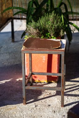 Güçlü metal bir tabure, üzerinde canlı bir saksı olan, düşünceli bir saksı, stil ve doğanın bir karışımını sergiliyor.