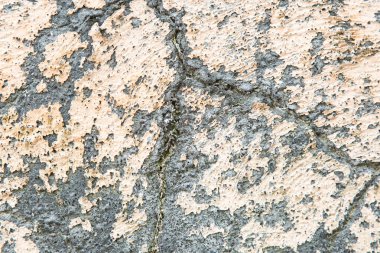 Bu resim, yüzeyindeki eşsiz ve detaylı gri ve beyaz dokuyu gösteren çatlak bir duvarı yakından görüntüler.