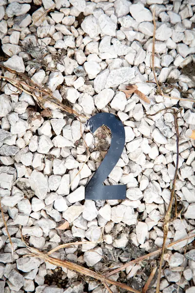 2 rakamı açıkça görülebiliyor çünkü büyük beyaz bir çakıl yığınının üzerine koyu bir renkle boyanmış ve belirgin bir şekilde göze çarpıyor.