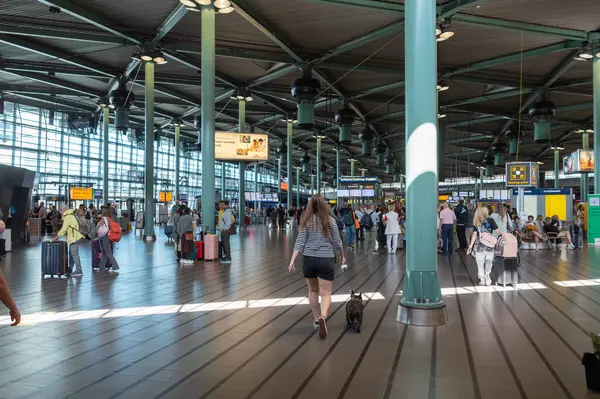Amsterdam, Hollanda (21 Haziran 2025) Büyük cam cephe ve metal çerçeve ile modern havaalanı girişi. 