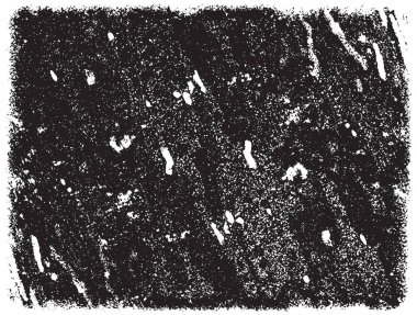 Grunge siyah ve beyaz kentsel vektör doku şablon. Karanlık dağınık toz sıkıntı arka plan kaplaması. Gürültü ve tahıl ile soyut noktalı, çizik, Vintage efekti oluşturmak kolay. Yaşlanma tasarım öğesi