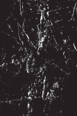 Grunge siyah ve beyaz kentsel vektör doku şablon. Karanlık dağınık toz sıkıntı arka plan kaplaması. Gürültü ve tahıl ile soyut noktalı, çizik, Vintage efekti oluşturmak kolay. Yaşlanma tasarım öğesi