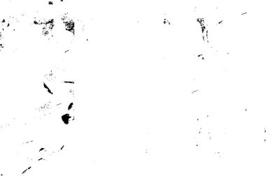 Grunge Siyah ve Beyaz Şehir Vektör Doku Şablonu. Noktalanmış, çizilmiş, Gürültü ve tahılla klasik efekt oluşturulması kolay. Karanlık Toz Örtüsü Tehlike Arkaplanı. Yaşlanma Tasarımı Elementi