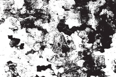 Çınar kabuk dokusu