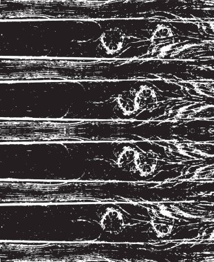 desenli ahşap tahta dokusu