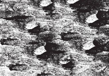 eski püskü boya ve sıva çatlakları