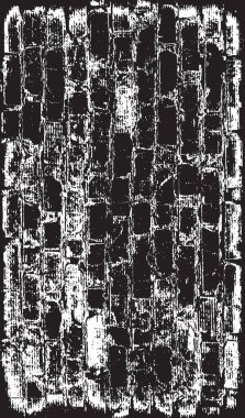 Grunge siyah ve beyaz kentsel vektör doku şablon. Karanlık dağınık toz sıkıntı arka plan kaplaması. Gürültü ve tahıl ile soyut noktalı, çizik, Vintage efekti oluşturmak kolay. Yaşlanma tasarım öğesi