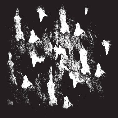 Çınar doku kabuğu