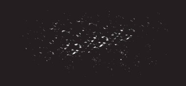 Grunge siyah ve beyaz kentsel vektör doku şablon. Karanlık dağınık toz sıkıntı arka plan kaplaması. Gürültü ve tahıl ile soyut noktalı, çizik, Vintage efekti oluşturmak kolay. Yaşlanma tasarım öğesi