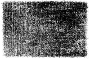 Grunge siyah ve beyaz kentsel vektör doku şablon. Karanlık dağınık toz sıkıntı arka plan kaplaması. Gürültü ve tahıl ile soyut noktalı, çizik, Vintage efekti oluşturmak kolay. Yaşlanma tasarım öğesi