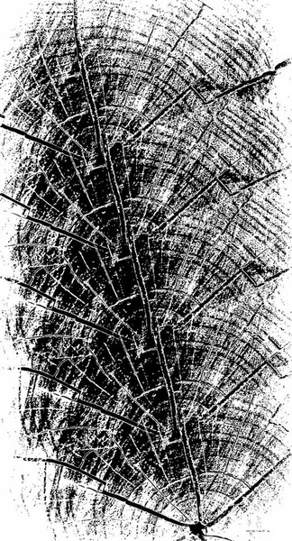 Abstracto Salpicaduras Pintura Negra Fondo Pantalla Para Espacio Copia — Archivo Imágenes Vectoriales