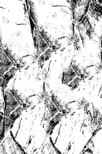 Illustration Abstraite Taches Noir Blanc Fond Texturé — Image vectorielle