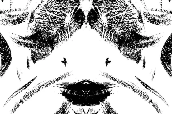 Grunge Pintura Abstrata Cores Preto Branco Textura Monocorosomática — Vetor de Stock