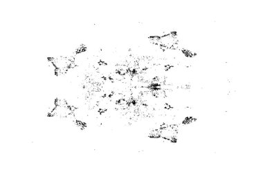 Çizikler de dahil. soyut siyah beyaz duvar kağıdı