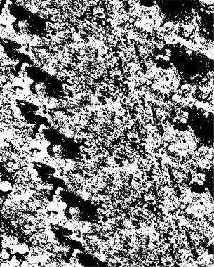 Çizikler de dahil. soyut siyah beyaz duvar kağıdı