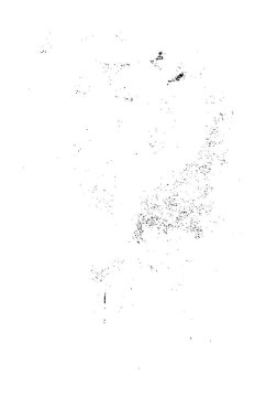 Çizikler de dahil. soyut siyah beyaz duvar kağıdı