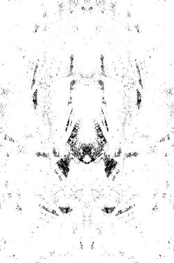 Çizikler de dahil. soyut siyah beyaz duvar kağıdı