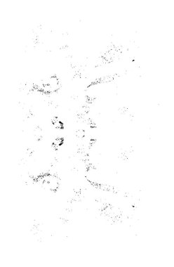 Çizikler de dahil. soyut siyah beyaz duvar kağıdı