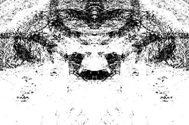 Çizikler de dahil. soyut siyah beyaz duvar kağıdı