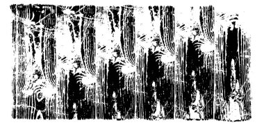 Kaba ve basit bir desen, inişli çıkışlı vuruşlarla yapılmış.