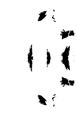 Grunge dokusu çatlaklar, cipsler, lekeler. Siyah ve beyaz yazdırılmış ögelerin soyut deseni