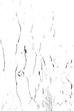 siyah ve beyaz grunge arkaplanı