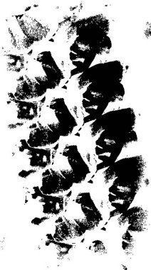 Soyut arkaplan. Monokrom dokusu. Siyah ve beyaz tonlarının etkisiyle görüntü