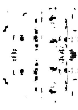 antika elementlerle siyah ve beyaz monokrom dokusu ve retro desenli soyut antika dokusuyla