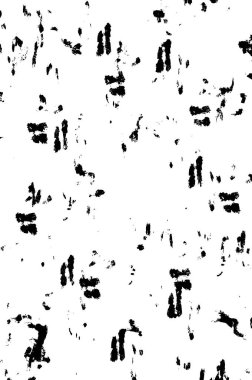 Grunge üst üste biniyor. Soyut siyah-beyaz vektör arkaplanı. Çatlak, leke ve noktalarda kirli desenli tek renkli klasik yüzey. Karanlık korku tarzında eski bir duvar.